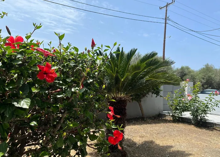 Silver Palm House Ixia, Rhodes